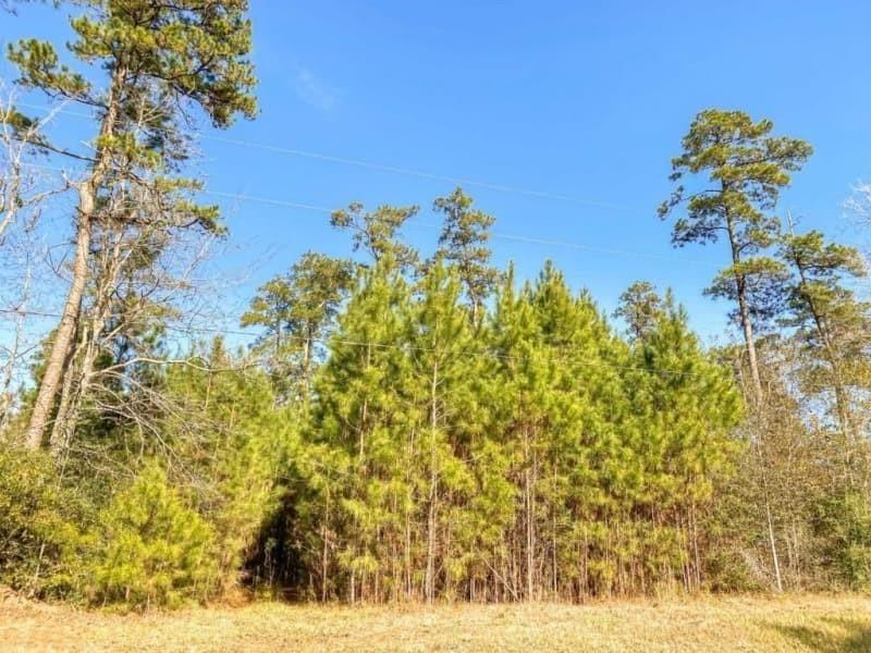 9388 Hwy 105, Cleveland, Texas image 3