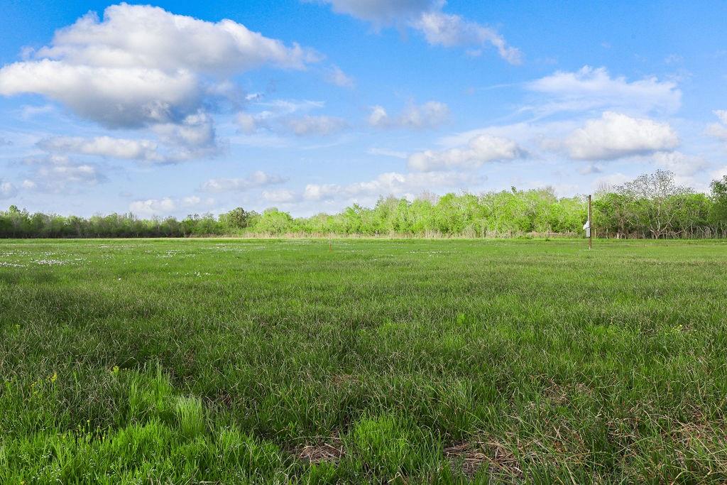 1115 E Fm 1462 Road, Rosharon, Texas image 16