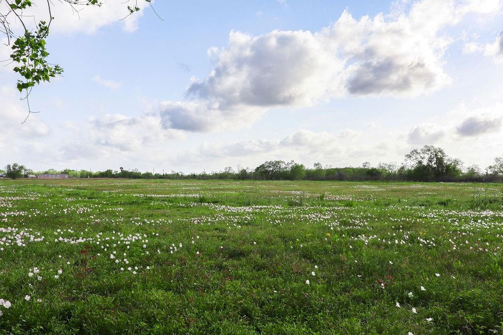 1115 E Fm 1462 Road, Rosharon, Texas image 7