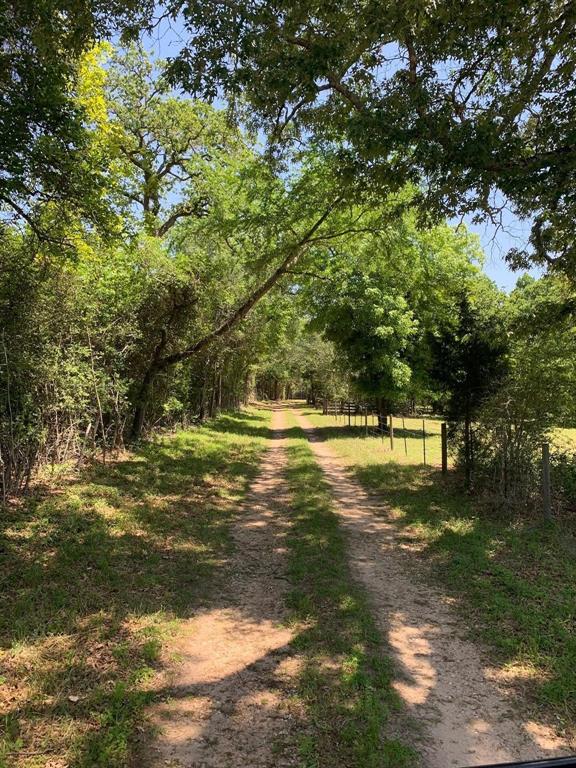 36155 Old Courtney Road, Waller, Texas image 7