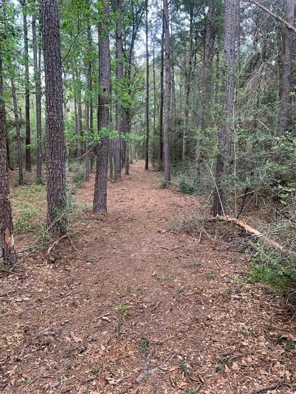 36155 Old Courtney Road, Waller, Texas image 6