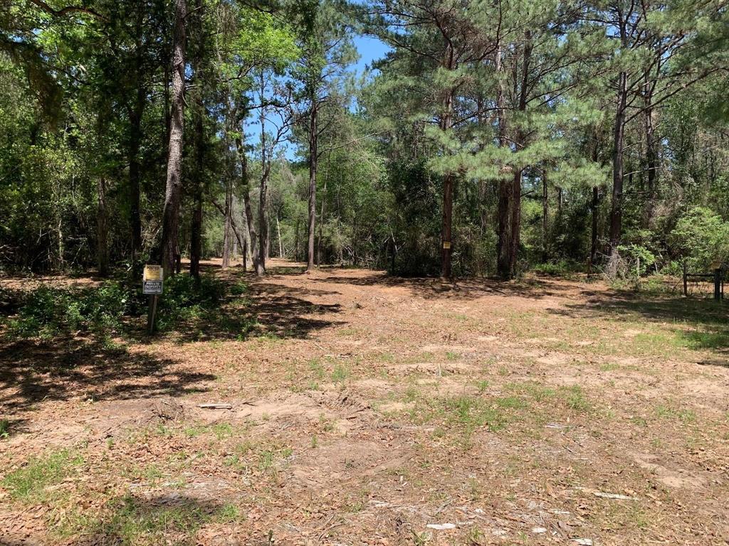 36155 Old Courtney Road, Waller, Texas image 1