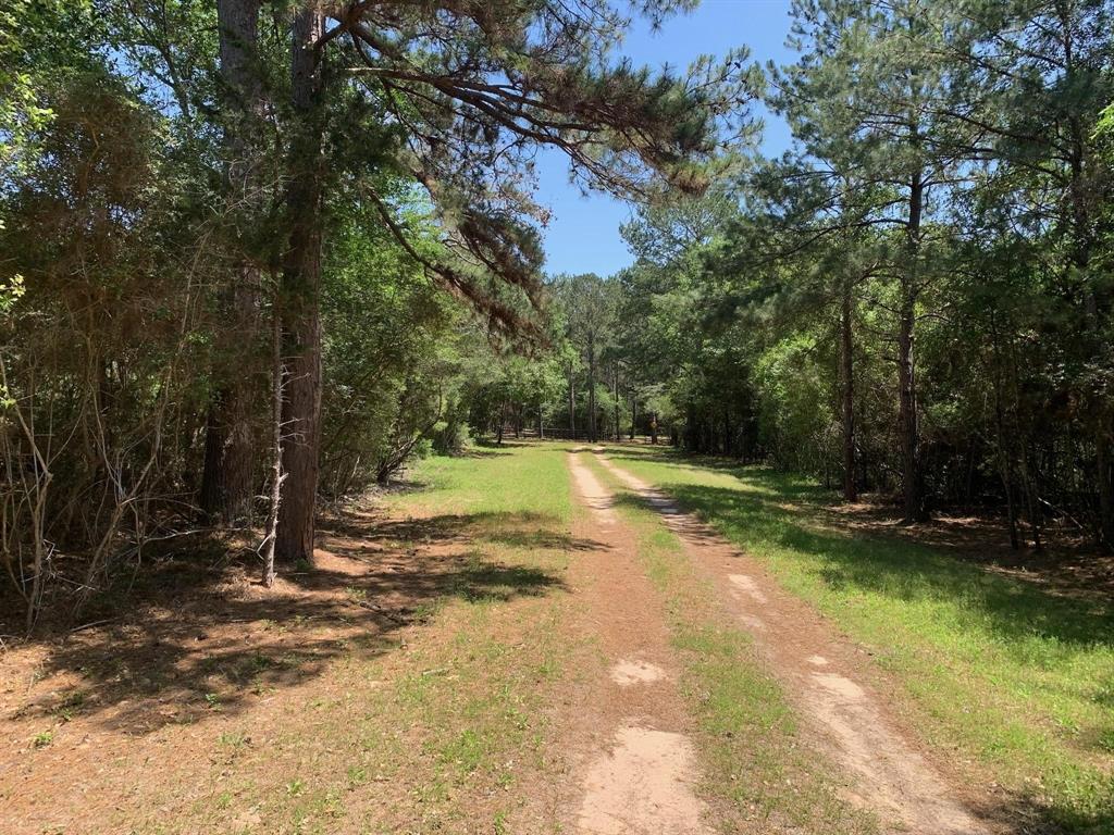 36155 Old Courtney Road, Waller, Texas image 8