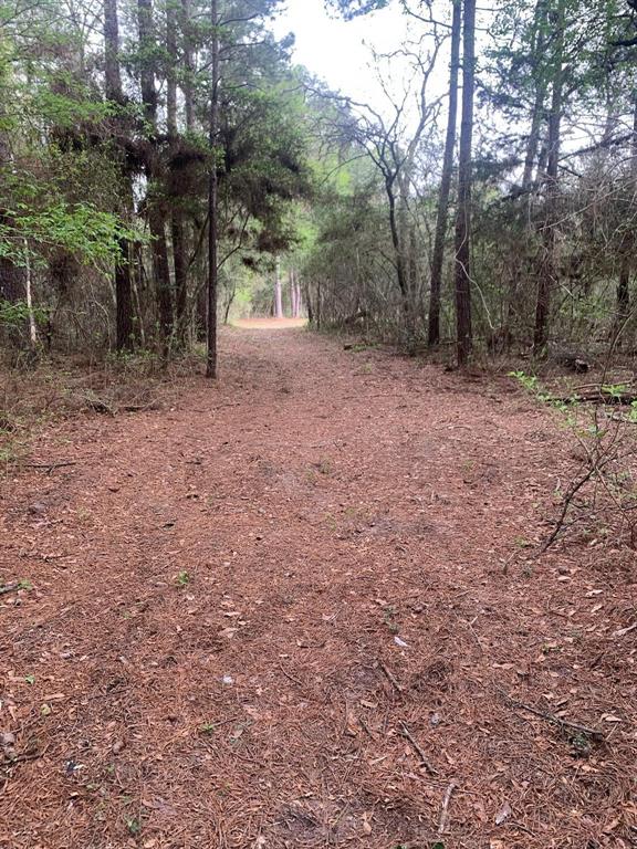 36155 Old Courtney Road, Waller, Texas image 4