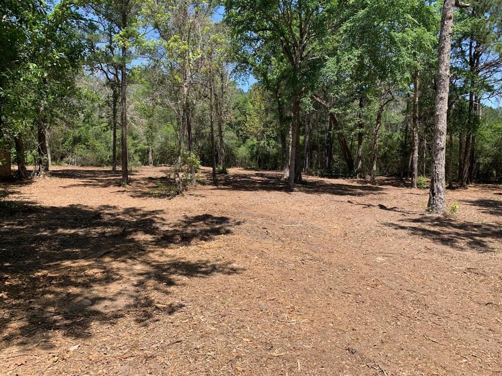 36155 Old Courtney Road, Waller, Texas image 3