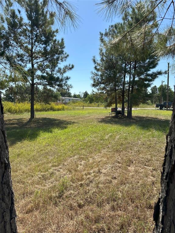 72 County Road 5124, Cleveland, Texas image 3