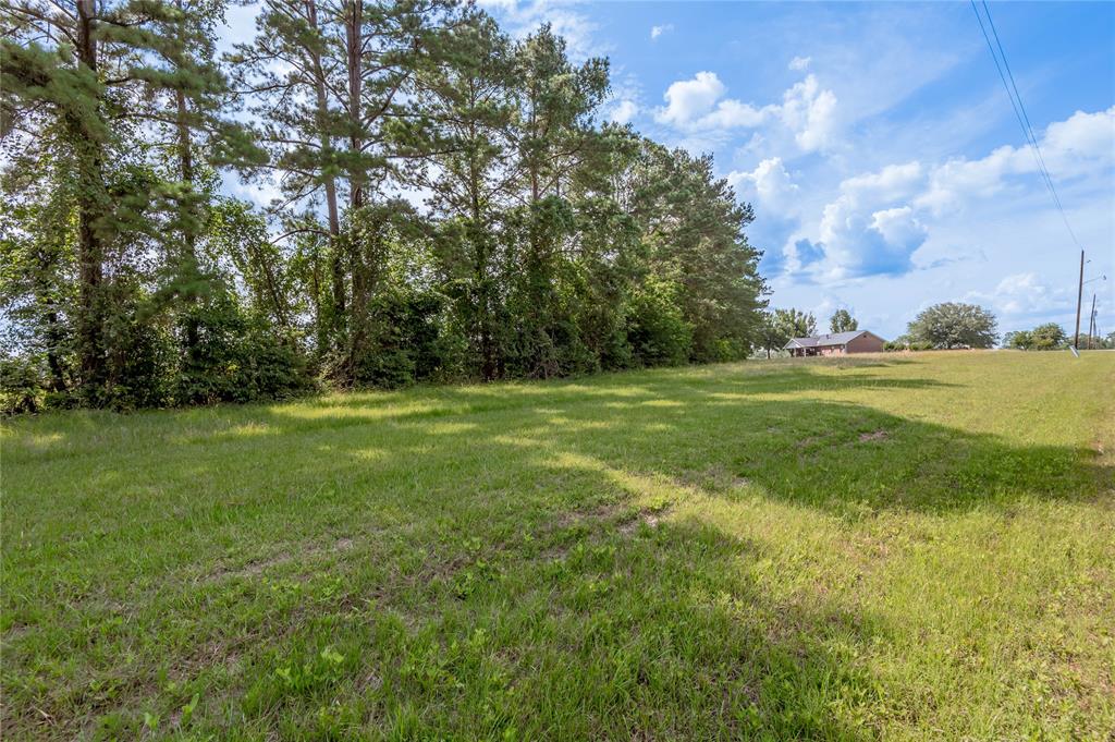 Lot 1 A Tara Drive, Trinity, Texas image 8