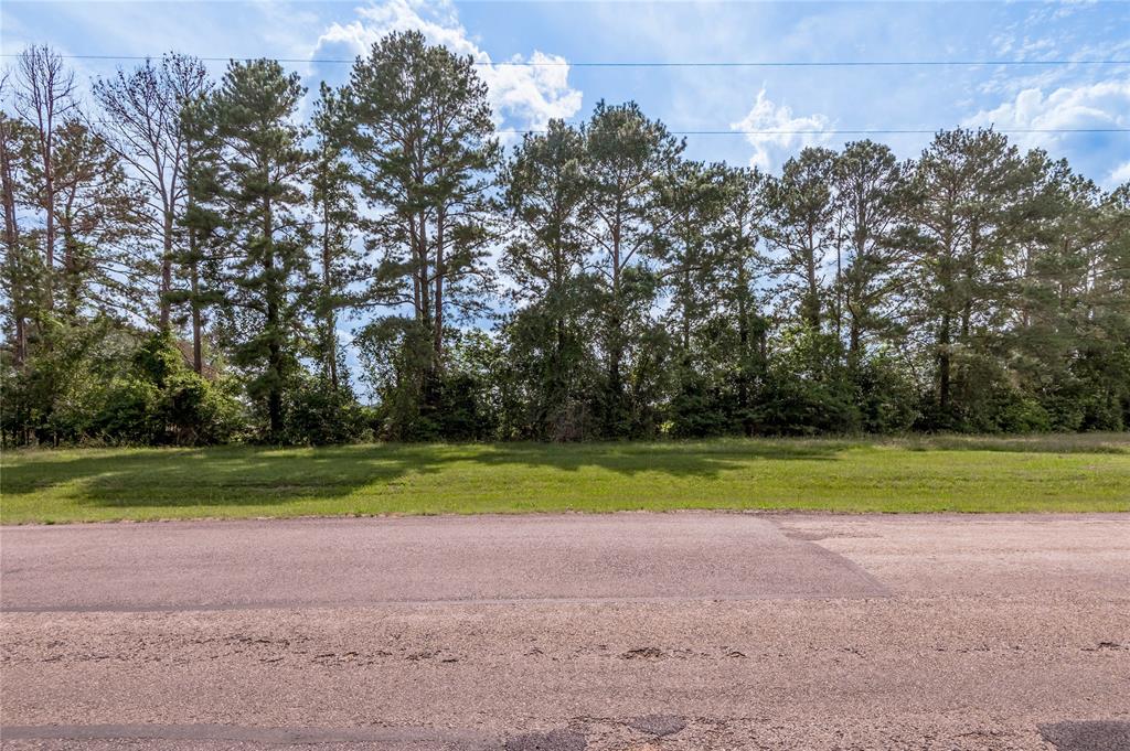 Lot 1 A Tara Drive, Trinity, Texas image 9