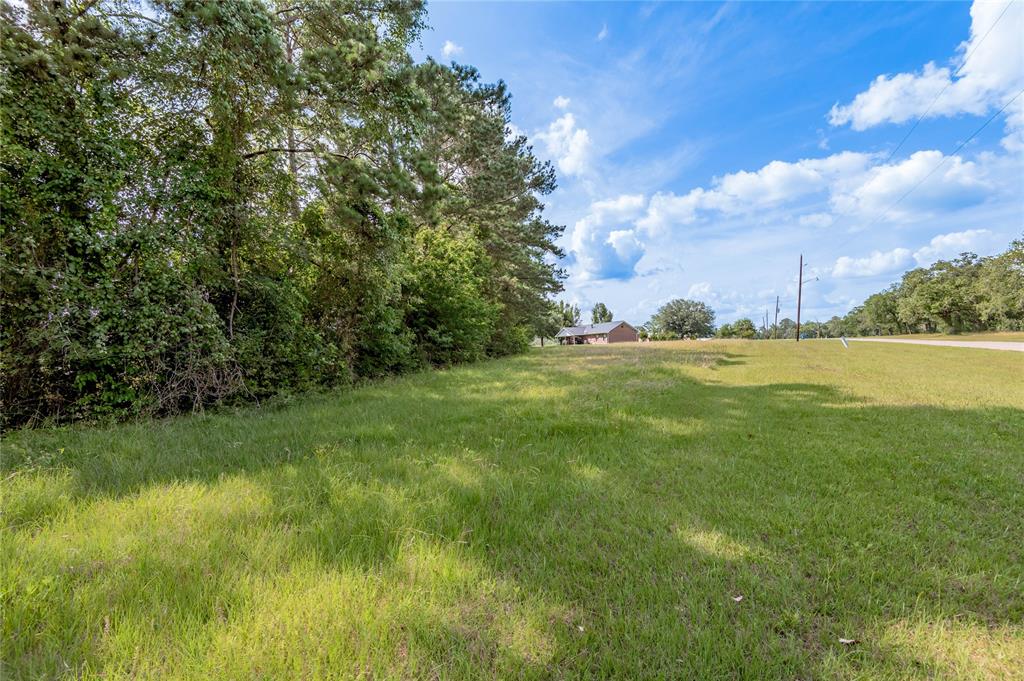 Lot 1 A Tara Drive, Trinity, Texas image 7