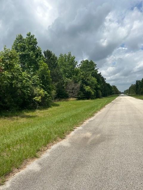 21438 Doru Drive, Cleveland, Texas image 9