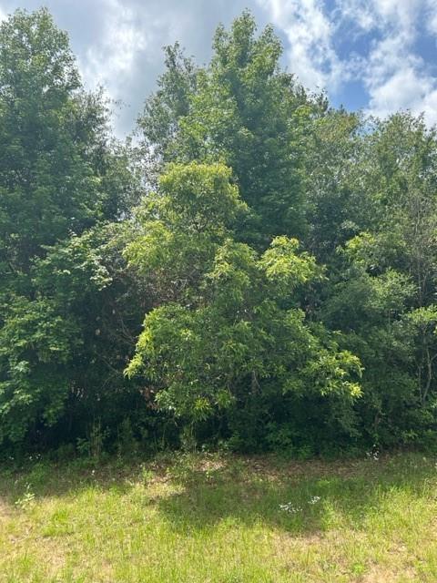 21438 Doru Drive, Cleveland, Texas image 8