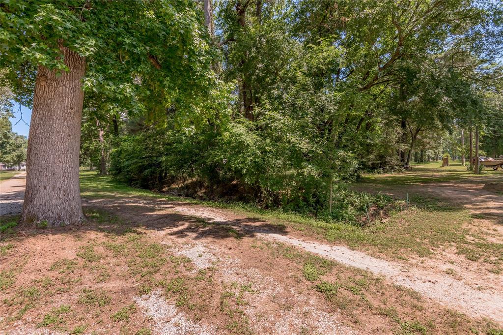 Lot 12 Thornton Street, Trinity, Texas image 6