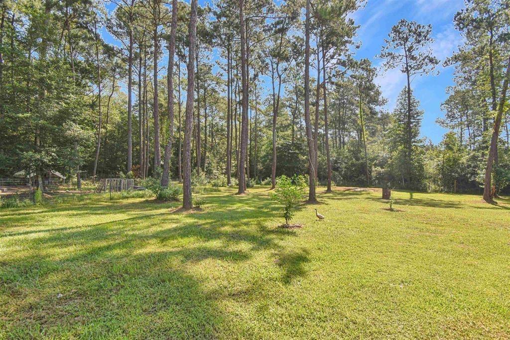 5700 Hob Warren Rd, Sour Lake, Texas image 32