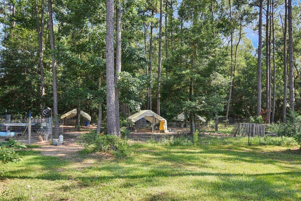 5700 Hob Warren Rd, Sour Lake, Texas image 29