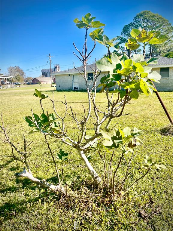 204 2nd Street, Stowell, Texas image 12