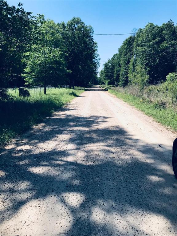 Rio Grande Rd, Livingston, Texas image 3