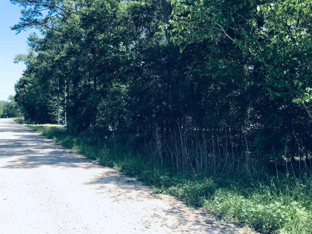 Rio Grande Rd, Livingston, Texas image 5