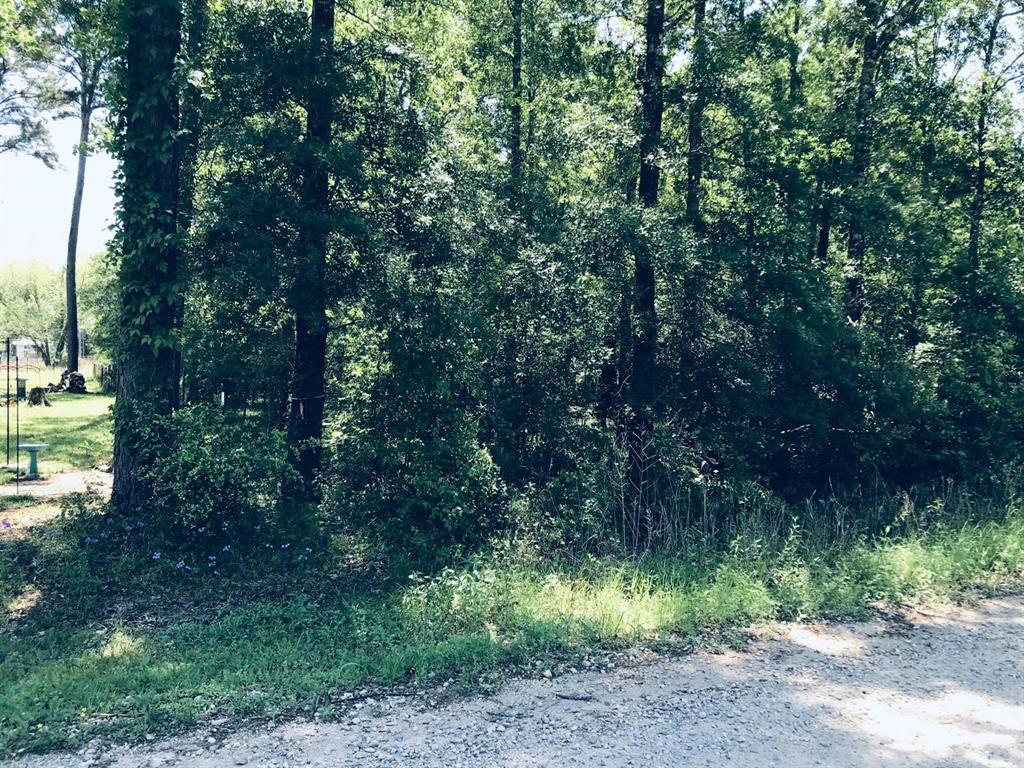 Rio Grande Rd, Livingston, Texas image 6