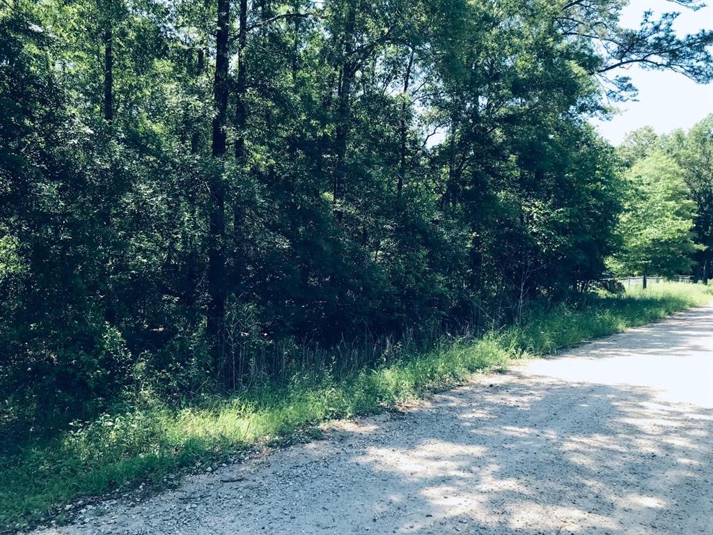 Rio Grande Rd, Livingston, Texas image 7