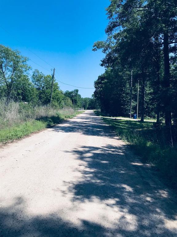 Rio Grande Rd, Livingston, Texas image 2