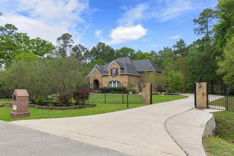 4911 Ontonagon Way Spring TX 77386