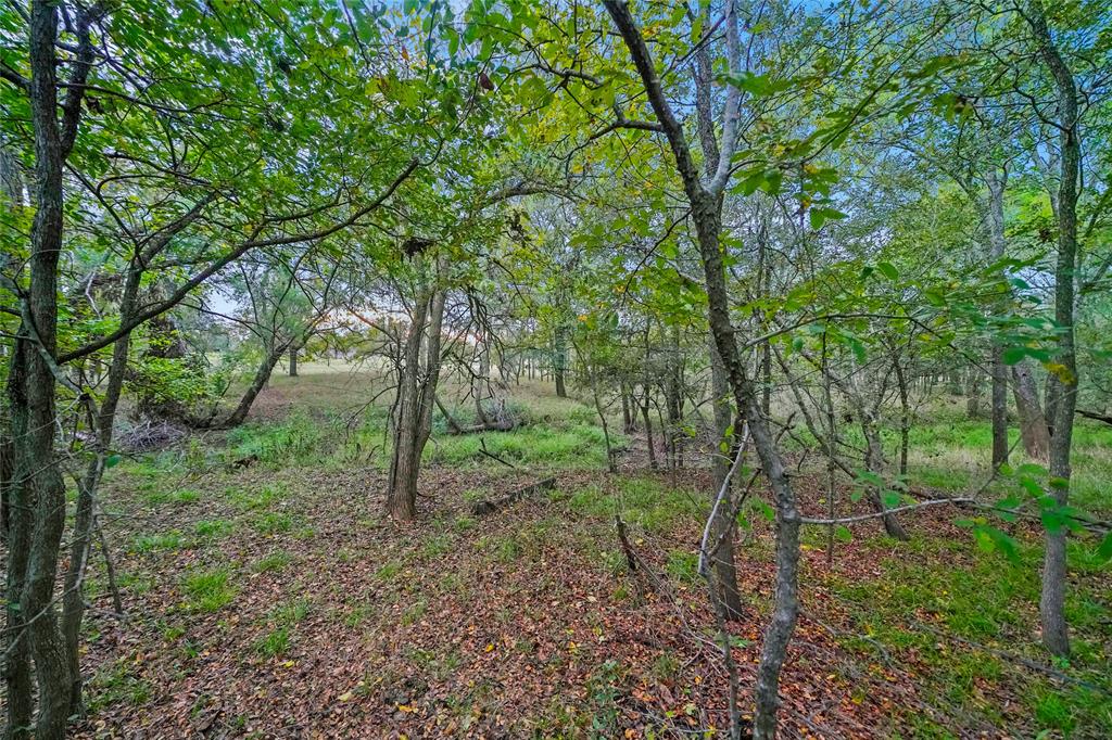 8540 Hall Rd, Brookshire, Texas image 5