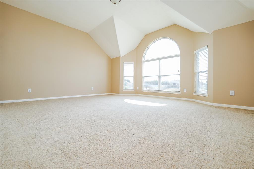 22215 Pacific Ocean Drive, Spring, Texas image 41