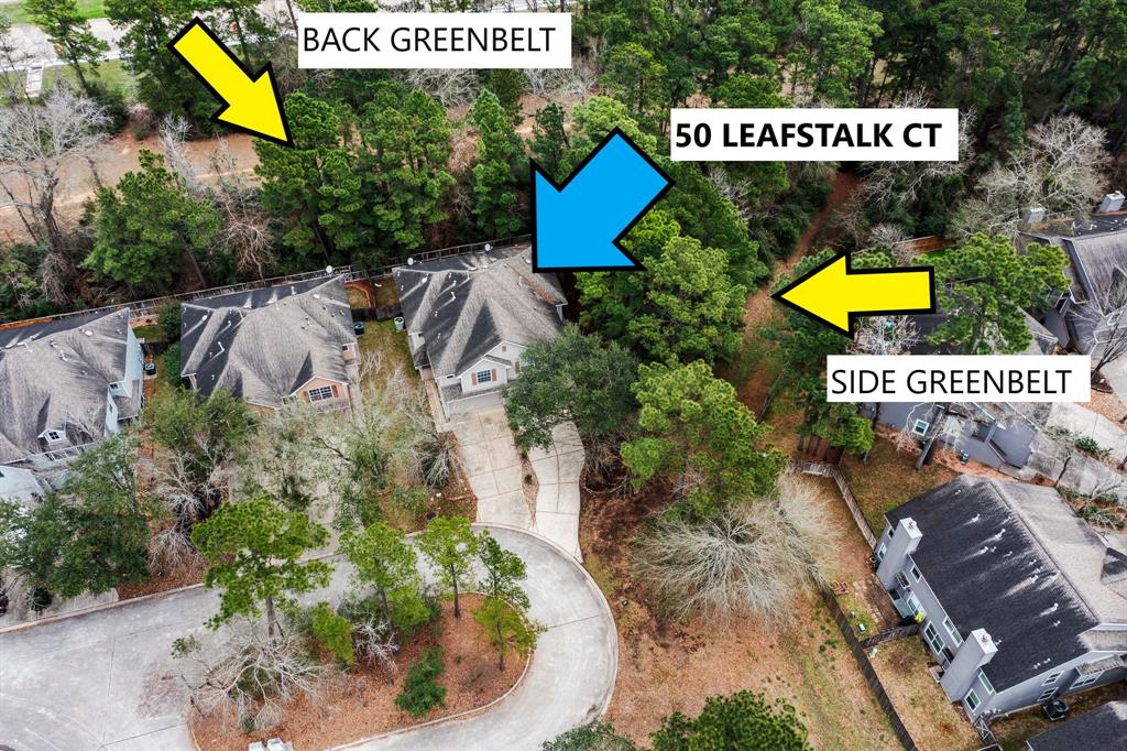 50 Leafstalk Court, The Woodlands, Texas image 2