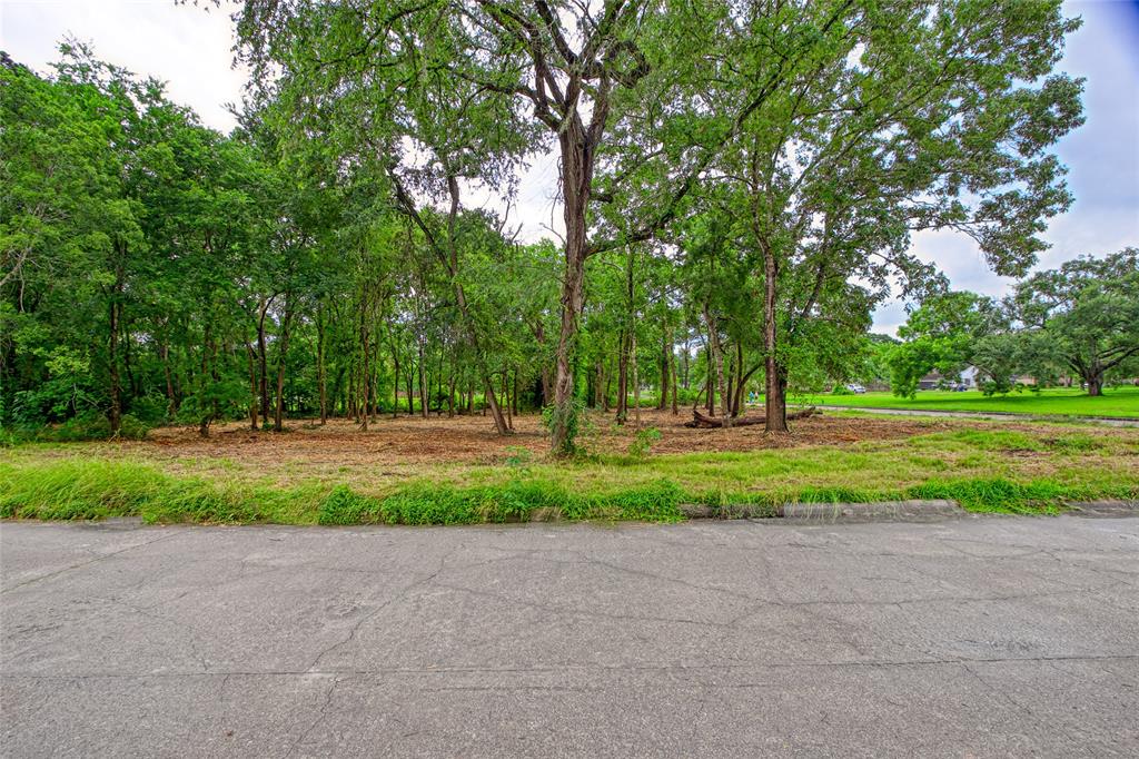 501 Colonial Drive, Friendswood, Texas image 9