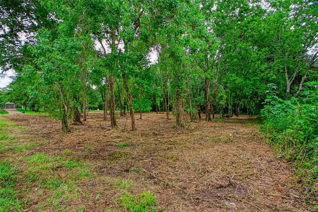 501 Colonial Drive, Friendswood, Texas image 2