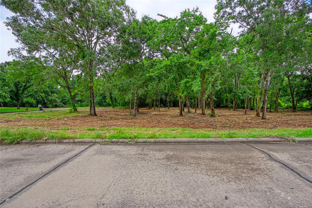 501 Colonial Drive, Friendswood, Texas image 8