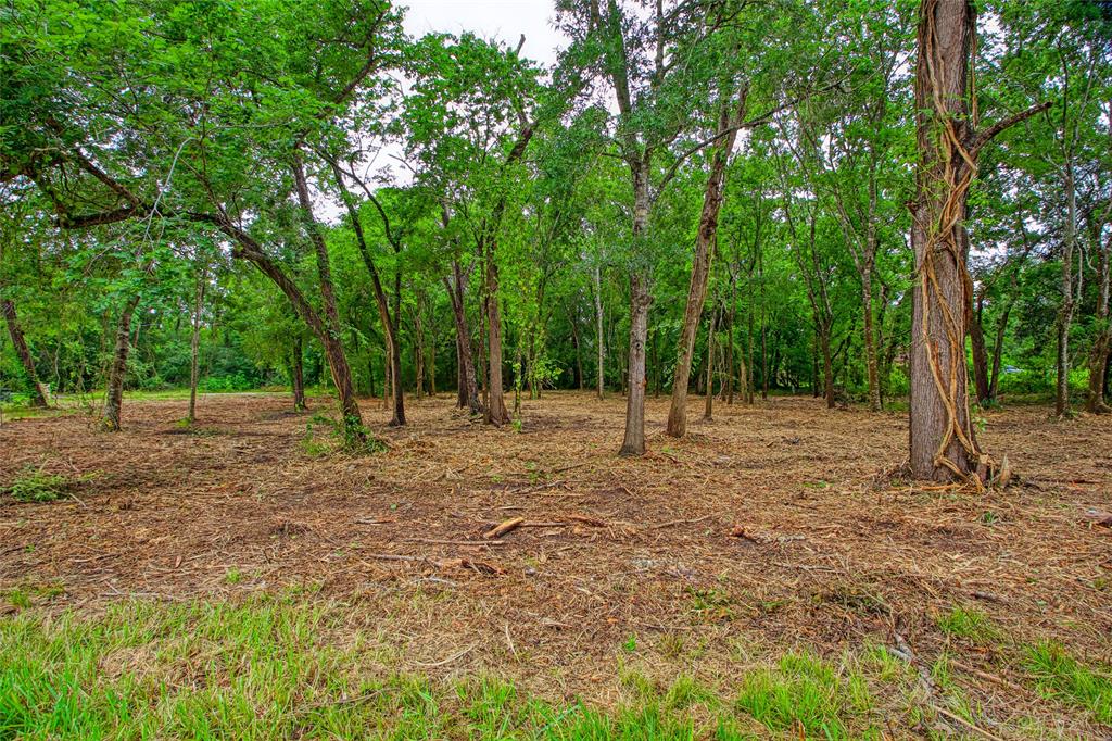 501 Colonial Drive, Friendswood, Texas image 10