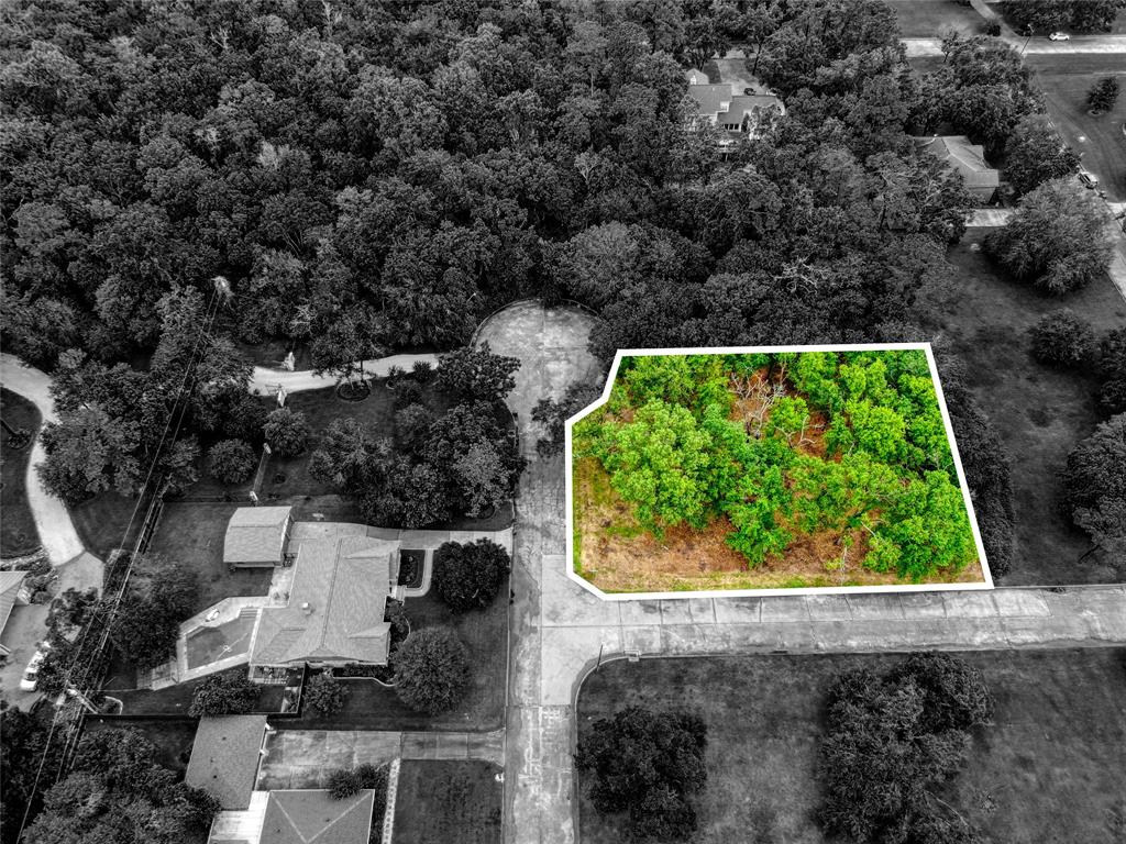 501 Colonial Drive, Friendswood, Texas image 14