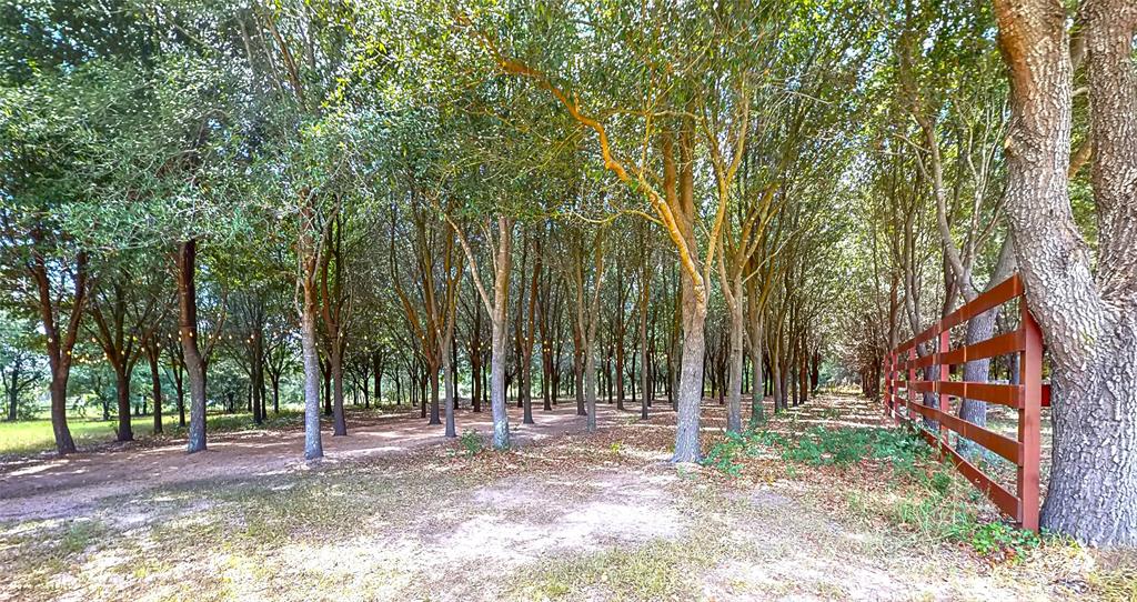 17011 Steinhagen Road, Cypress, Texas image 31