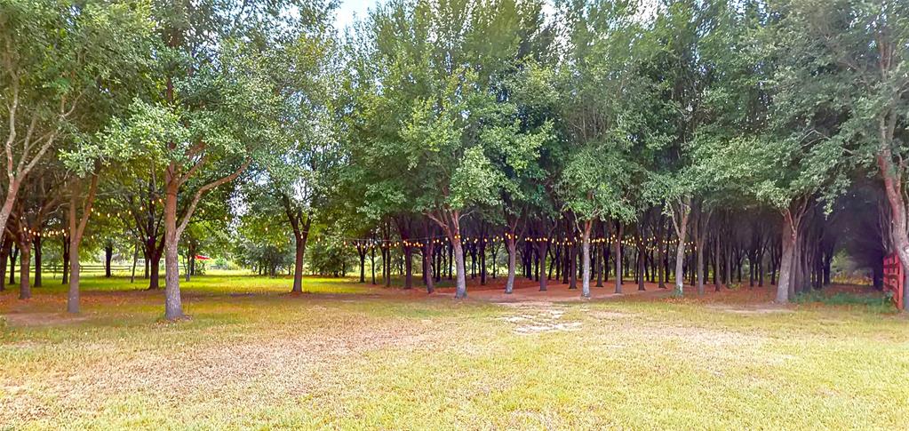 17011 Steinhagen Road, Cypress, Texas image 32