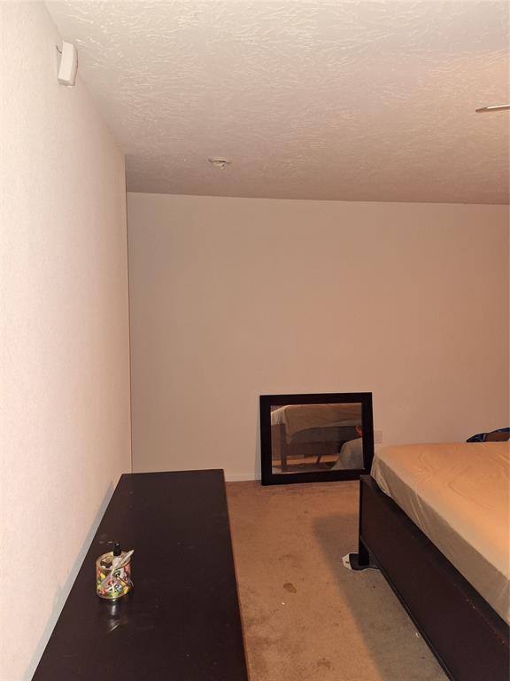 2519 Skyview Point Drive, Houston, Texas image 15