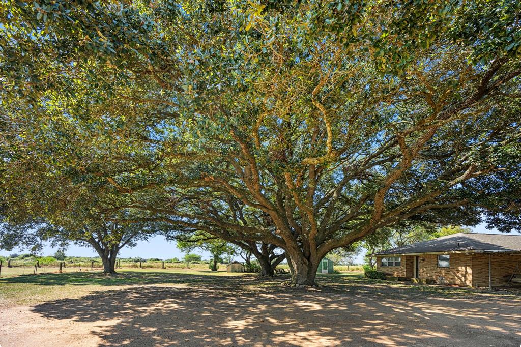 21211 Highway 90a Hwy, East Bernard, Texas image 3