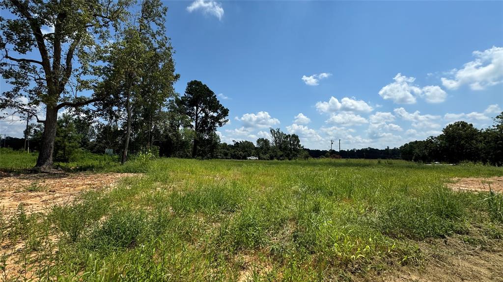 10582 State Highway 146, Livingston, Texas image 8