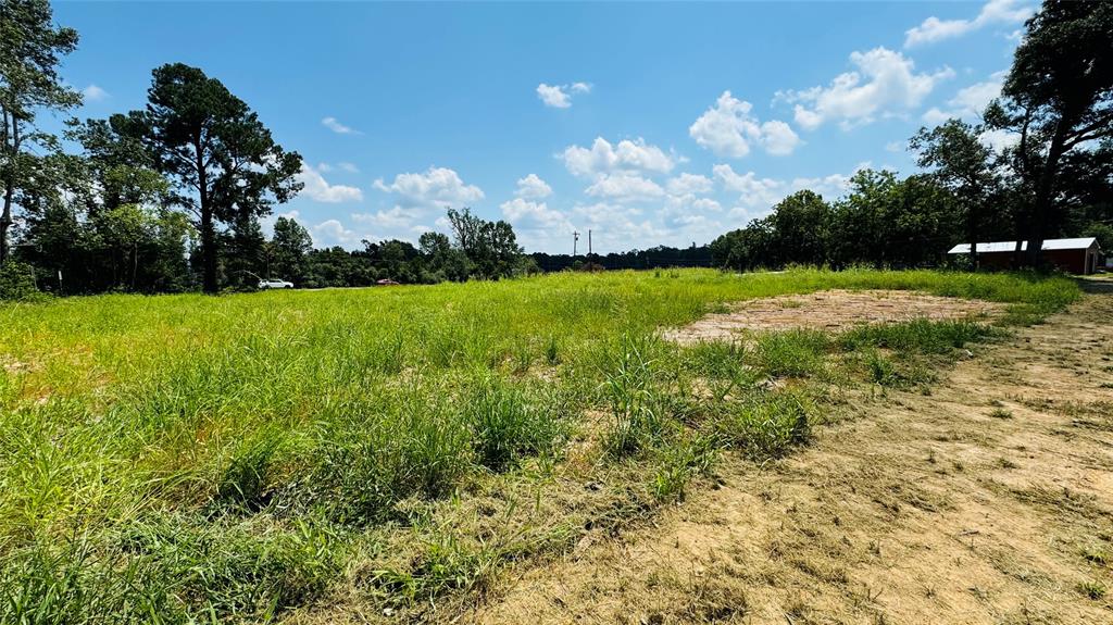 10582 State Highway 146, Livingston, Texas image 3