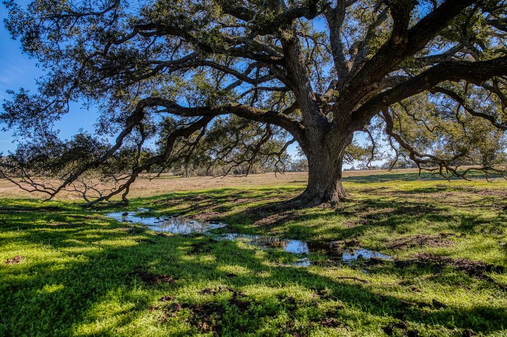 Tract 2 Brandt Road, Burton, Texas image 14