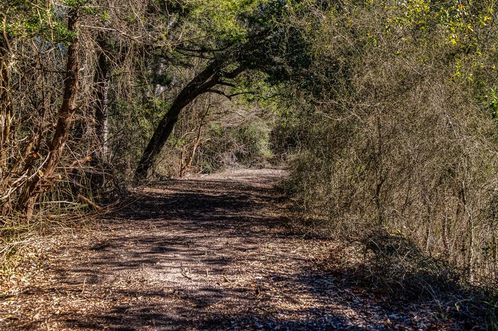 Tract 2 Brandt Road, Burton, Texas image 11