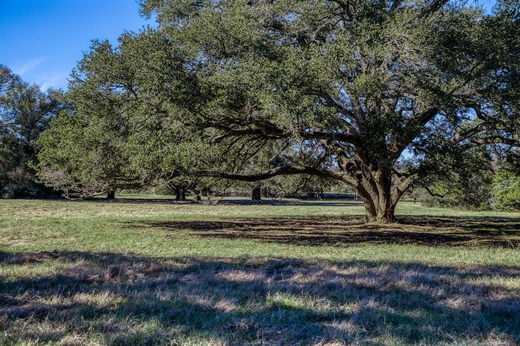 Tract 2 Brandt Road, Burton, Texas image 5