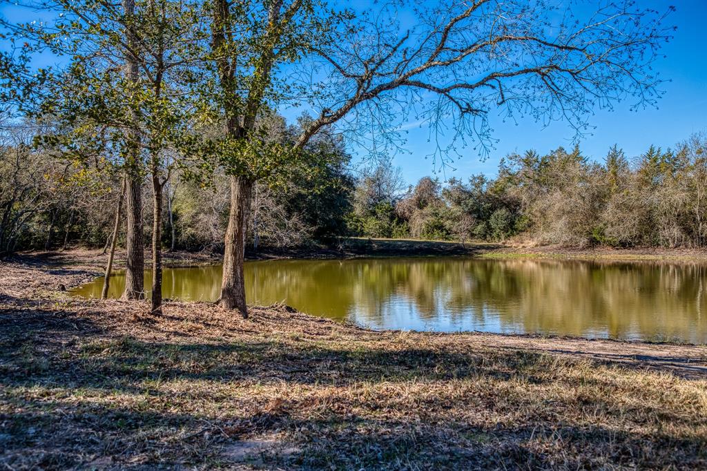 Tract 2 Brandt Road, Burton, Texas image 8