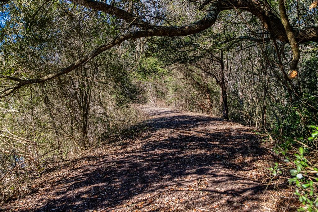 Tract 2 Brandt Road, Burton, Texas image 10