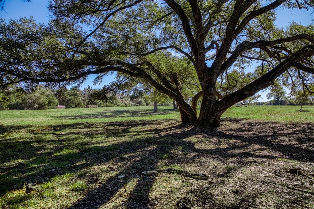 Tract 2 Brandt Road, Burton, Texas image 6