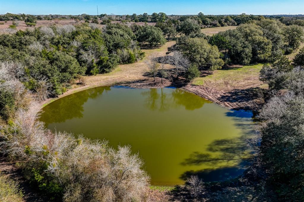 Tract 2 Brandt Road, Burton, Texas image 19