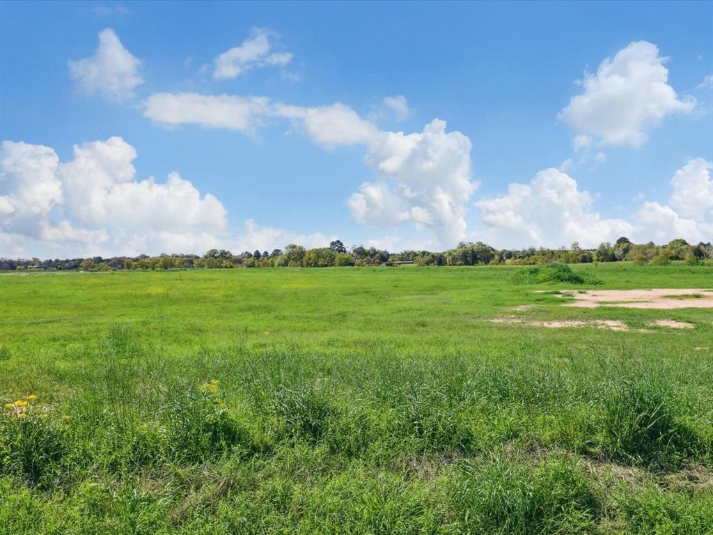 LOT 67 Oak Hollow Court, Cat Spring, Texas image 9