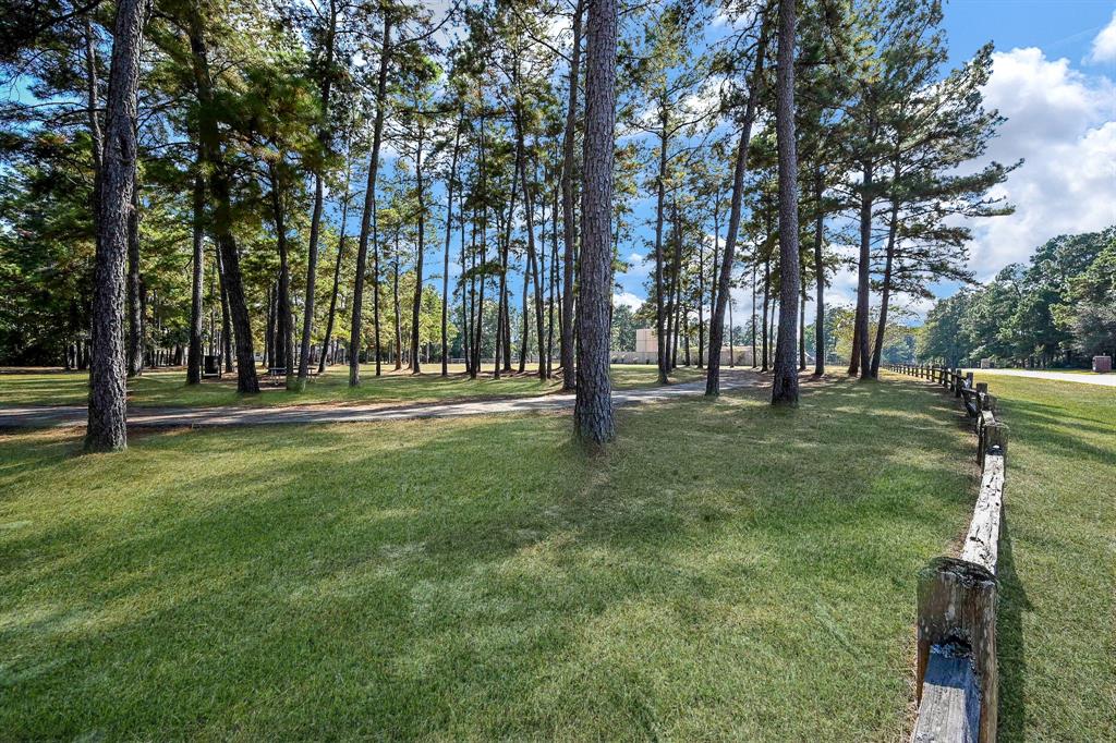 12306 Marshall Drive, Magnolia, Texas image 49