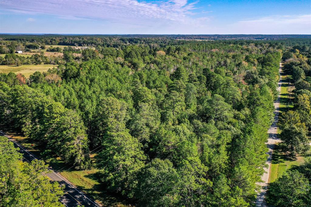 Tract 2 Fm 405, Huntsville, Texas image 7