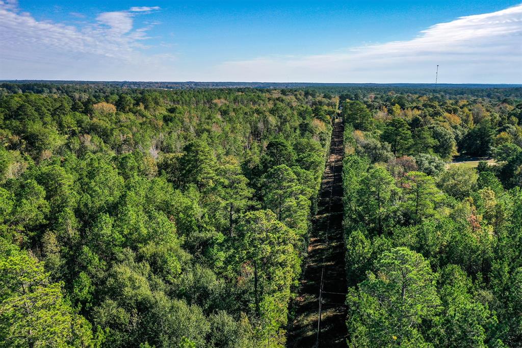 Tract 2 Fm 405, Huntsville, Texas image 5